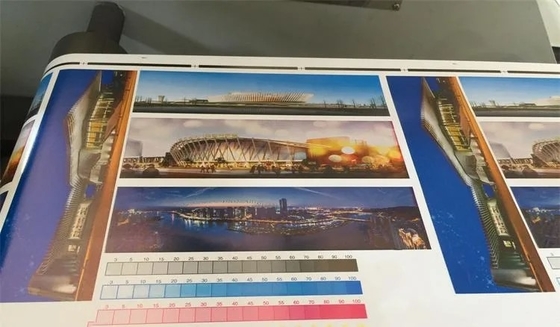 4色ロールFlexoのラベルの印字機320mm 80m/Min#±0.1mmの正確さのラベルのFlexo Printer#450mmの最高の印刷幅