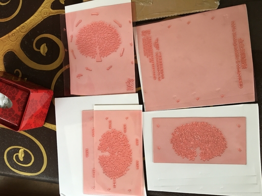 樹脂板イメージ投射Shimeiデジタルの版を印刷する高リゾリューションのFlexo