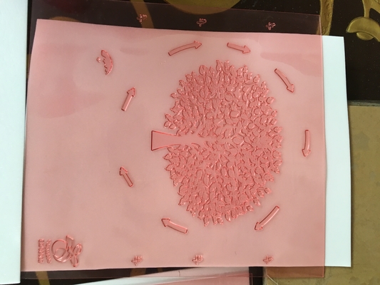 樹脂板イメージ投射Shimeiデジタルの版を印刷する高リゾリューションのFlexo