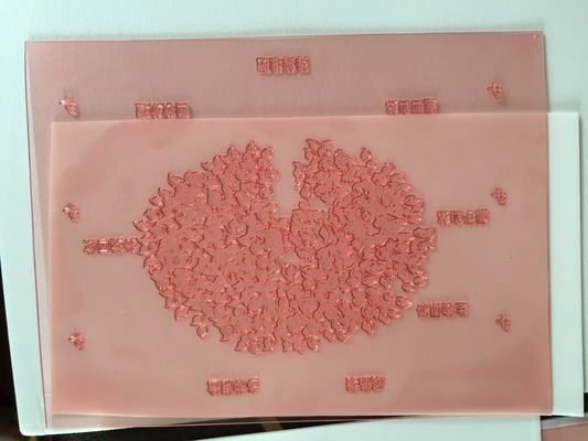 樹脂板イメージ投射Shimeiデジタルの版を印刷する高リゾリューションのFlexo